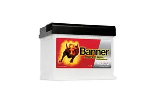 Banner Pro P63 42 63 A/h 600 А R+ 241x175x175 мм
